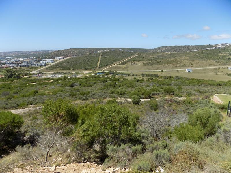 0 Bedroom Property for Sale in Seemeeu Park Western Cape